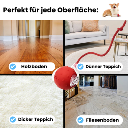 PawPlay Ball - Spielspaß, auch wenn du nicht zuhause bist