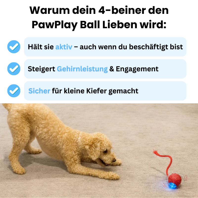PawPlay Ball - Spielspaß, auch wenn du nicht zuhause bist
